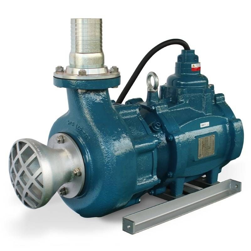 Varkie™ S220 Pumps Varkie Shop Online Amandla Pumps